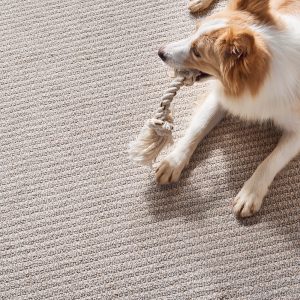 Abbey's Road Fairy Wings carpet | Custom Floors
