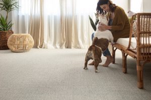 Fetch Briarwood carpet | Custom Floors