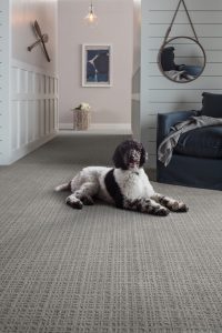 Purrsuasion backdrop carpet | Custom Floors