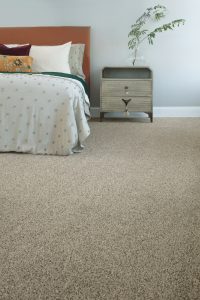 Barkside mesa view carpet | Custom Floors