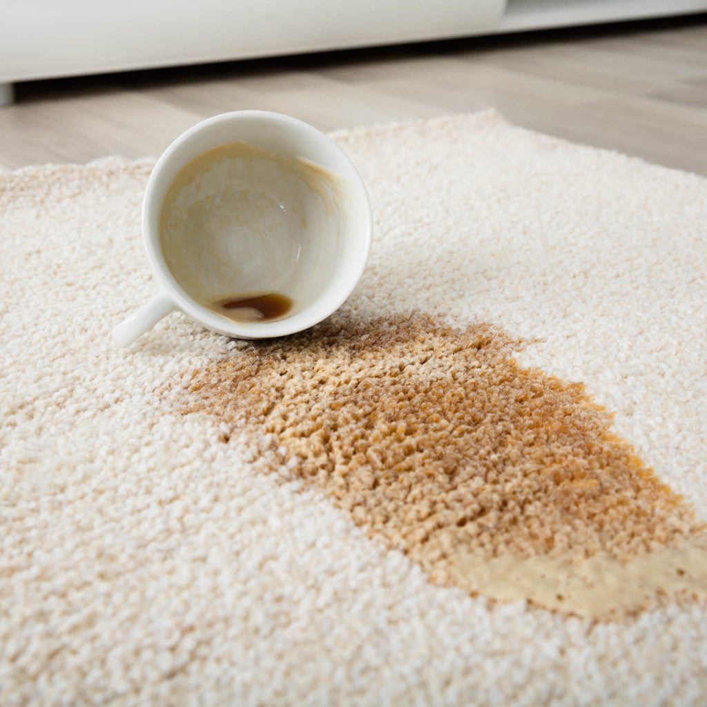 carpet_cleaning5_1600x1600-1 Coffee spill on area rug | Custom Floors