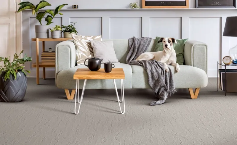 imgi_5_Shaw-Carpet-2